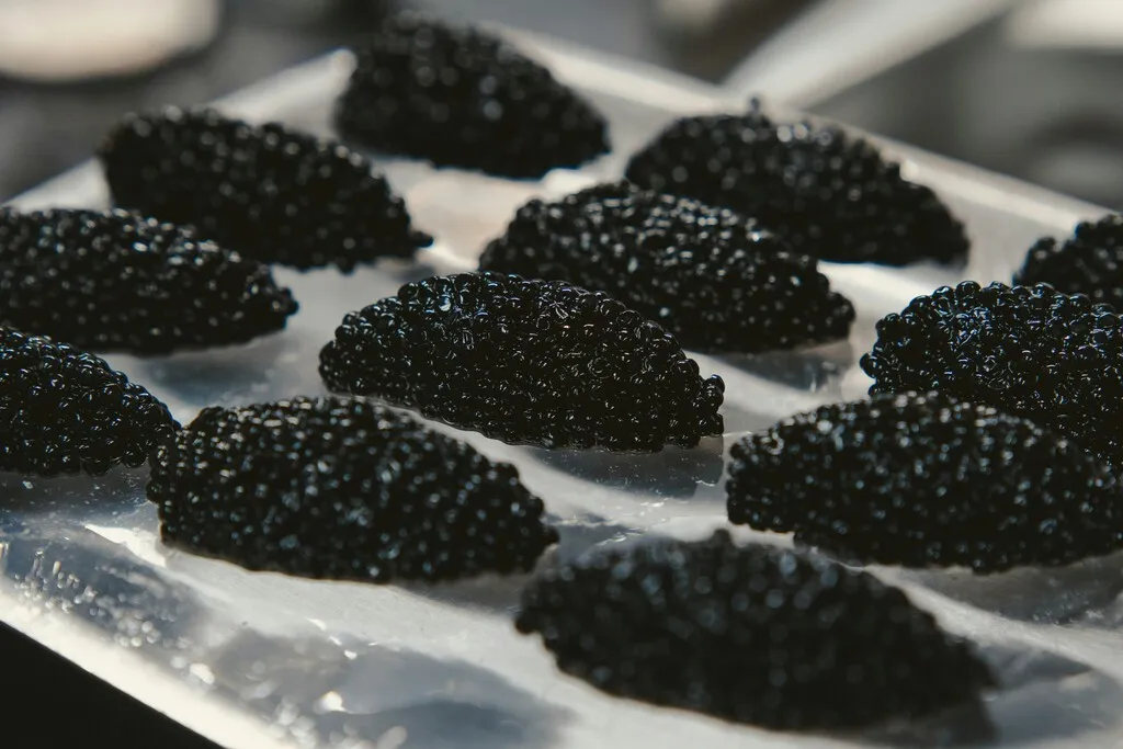"¿Qué sentido tiene barato?": los precios del caviar se están desplomando y la industria ha entrado en crisis existencial