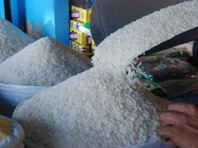 Fenarroz respalda negociaciones con EE. UU. y pide proteger la producción nacional de arroz