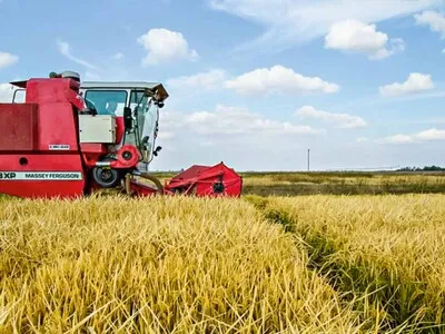 El arroz estadounidense compite con respaldo del presupuesto