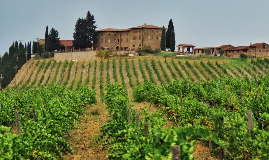 El robo del siglo en la Toscana: alguien se ha llevado en dos camiones 30.000 botellas de vino valoradas en cinco millones de euros
