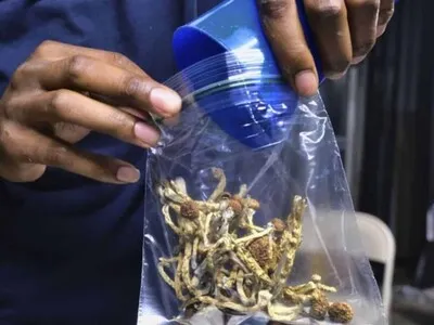 Los carabinieri italianos alertan de la "gentrificación" del cannabis