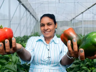 Mujeres rurales en República Dominicana enfrentan más pobreza y menos empleo