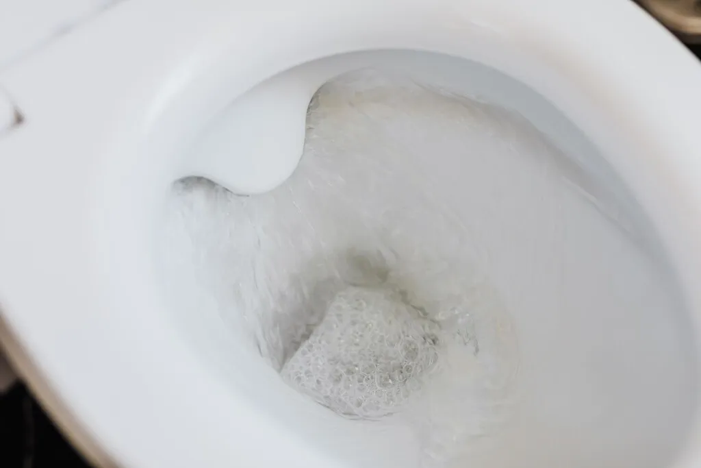 El truco viral de echar vinagre alrededor del inodoro, bajo la lupa de la ciencia: qué hay de mito y qué de química
