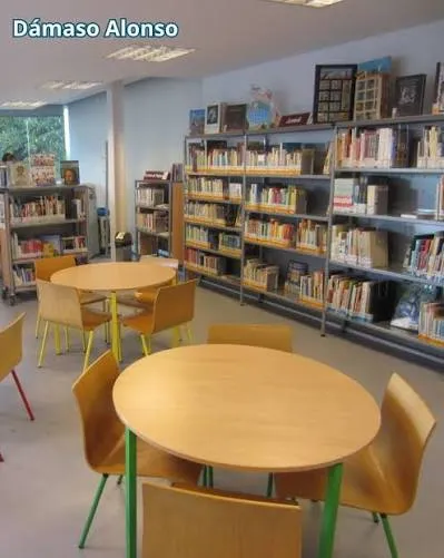 Las alcaldías dejan morir las bibliotecas públicas municipales