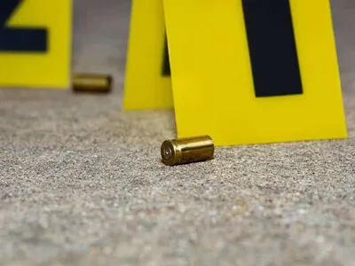 Hombre mata a su madre tras discusiones por los 84 gatos que cuidaba en su casa