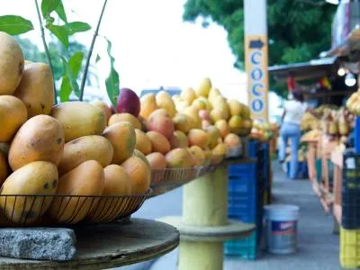 El país se prepara para reanudar exportaciones de mangos hacia EE. UU.