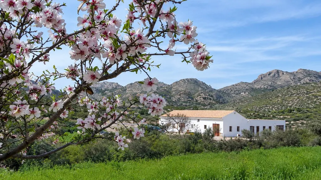 Se buscan voluntarios para vivir gratis en una casa con piscina cerca de Alicante, a cambio de mover heno y cuidar de dos caballos