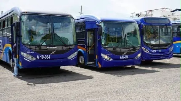 Contrataciones Públicas investiga y suspende licitación de OMSA para compra de autobuses por presuntas irregularidades 