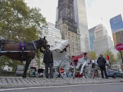 Los carruajes de Central Park: 150 años de historia que llegan a su fin en Nueva York