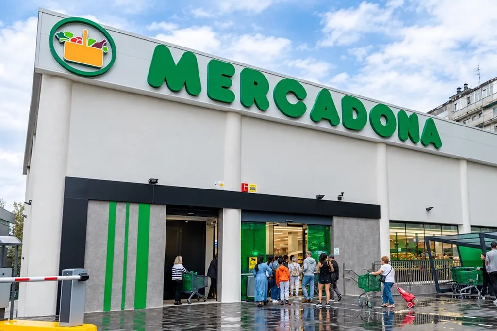 "Señora, que si quiere bolsa": no, lo que quiero es pagar la compra con Bizum y Mercadona está a punto de dejarme