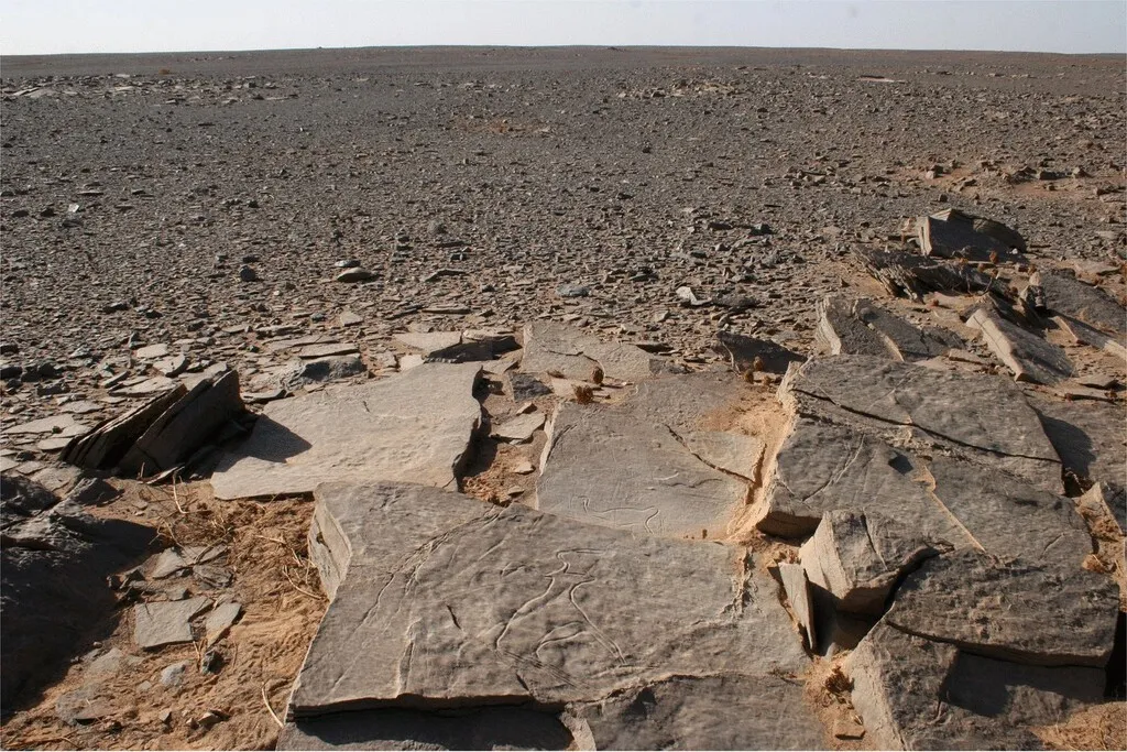 Ocho años después de abrirla, una tumba de 55 metros con "antenas" en pleno desierto del Sáhara revela por fin su edad